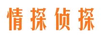 登封市婚外情调查